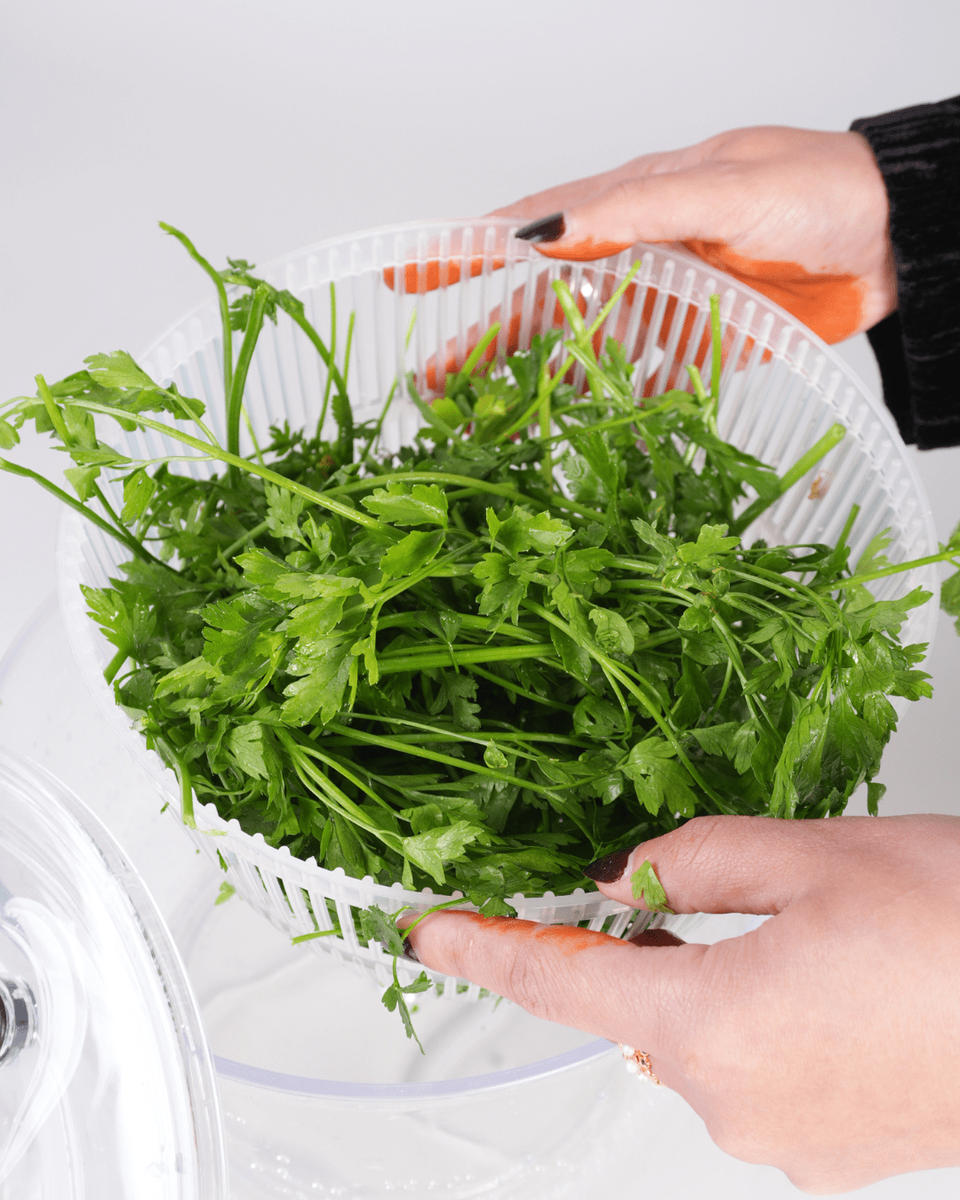 Salad Spinner